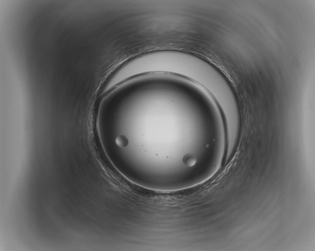 X0000113300297200909211127