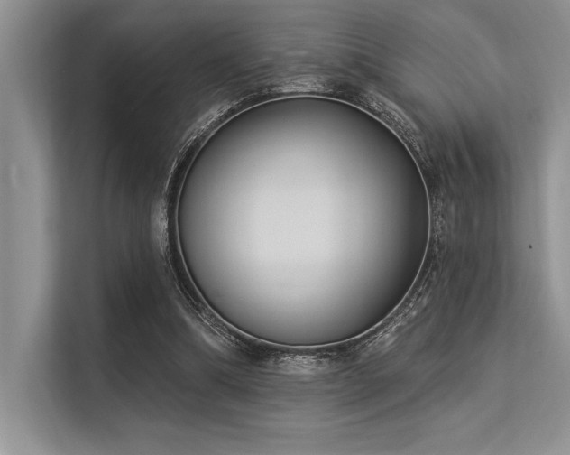 X0000113300298200909211127