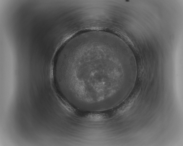 X0000113300299200909211127