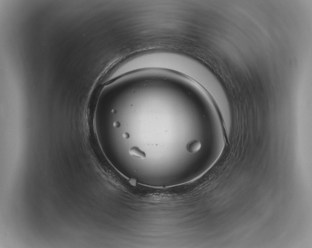 X0000113300300200909211127