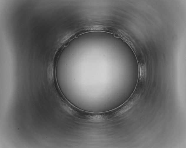 X0000113300301200909211127