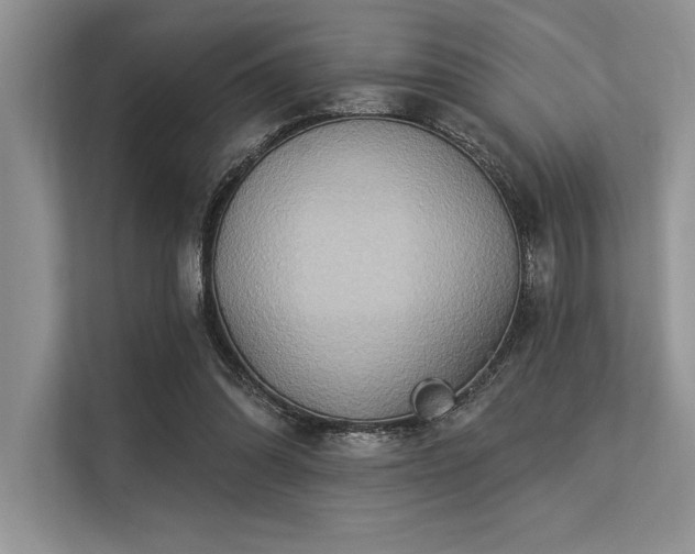 X0000113300302200909211127