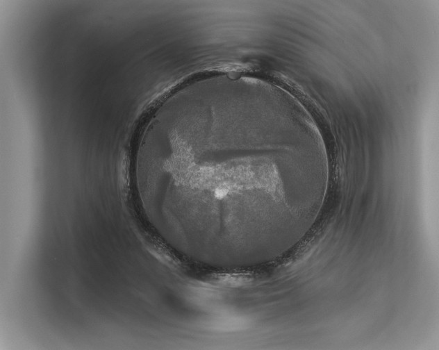 X0000113300303200909211127