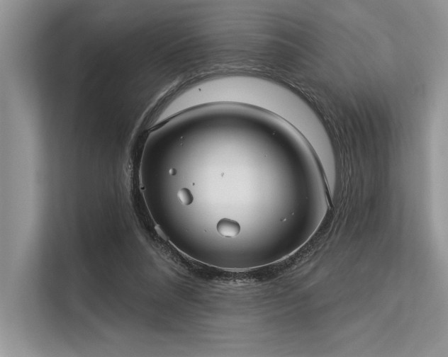 X0000113300304200909211127