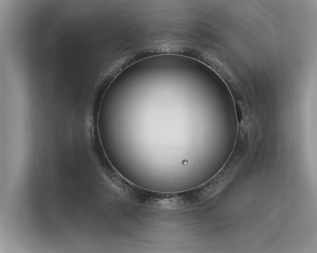 X0000113300306200909211127