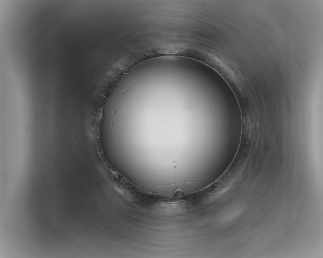 X0000113300307200909211127