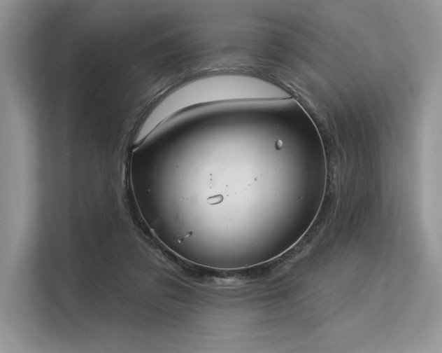 X0000113300309200909211127