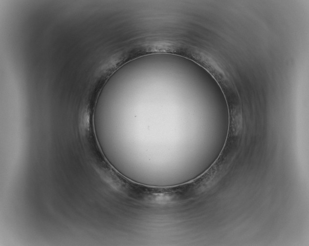 X0000113300310200909211127