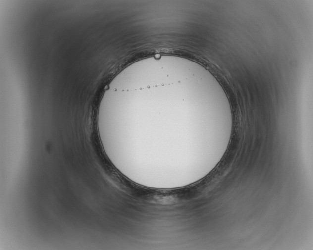 X0000113300311200909211127