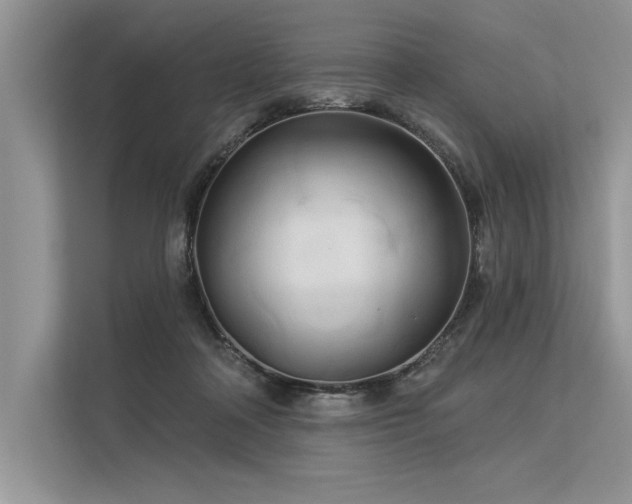 X0000113300314200909211127