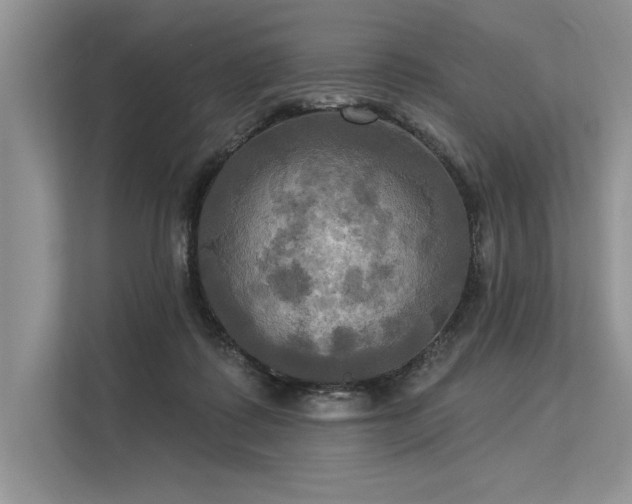 X0000113300315200909211127