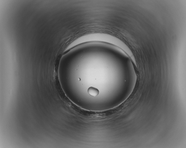 X0000113300320200909211127