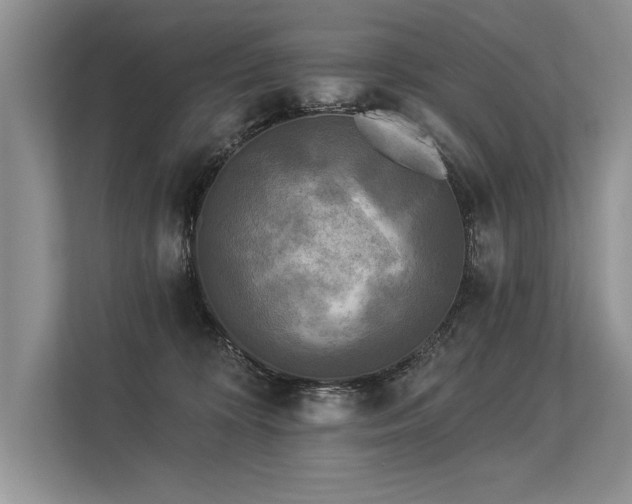 X0000113300324200909211126