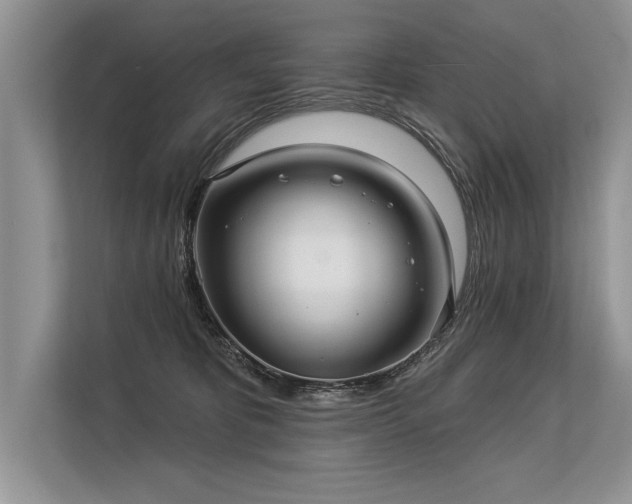 X0000113300325200909211126