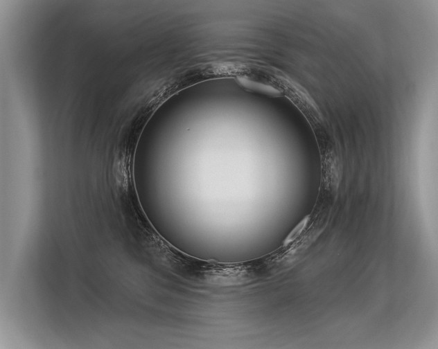 X0000113300329200909211126