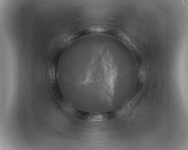 X0000113300330200909211126