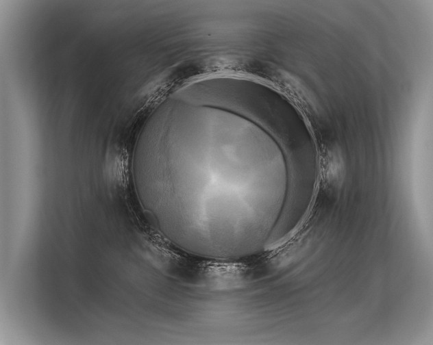 X0000113300332200909211126