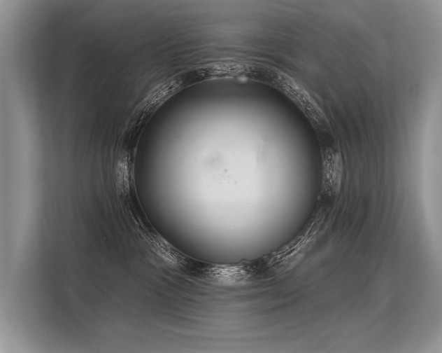 X0000113300333200909211126