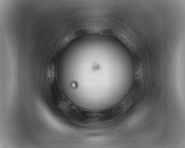 X0000113300334200909211126