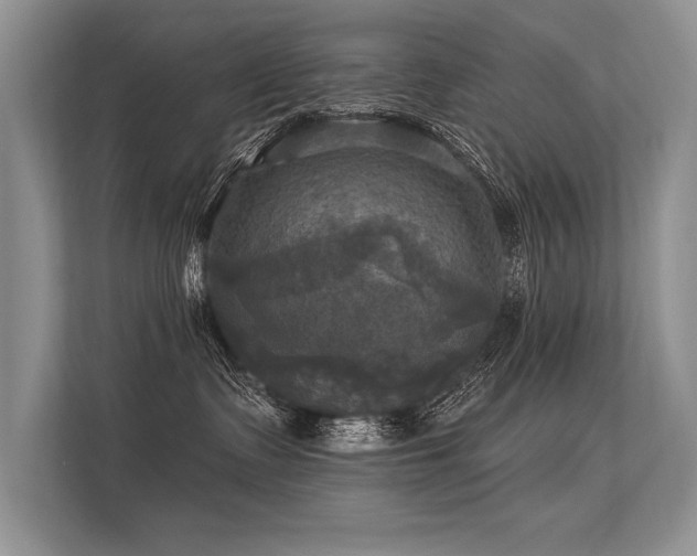 X0000113300335200909211126