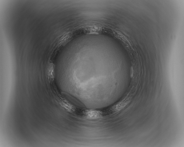 X0000113300336200909211126