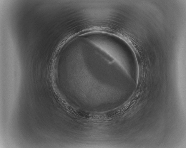 X0000113300337200909211126