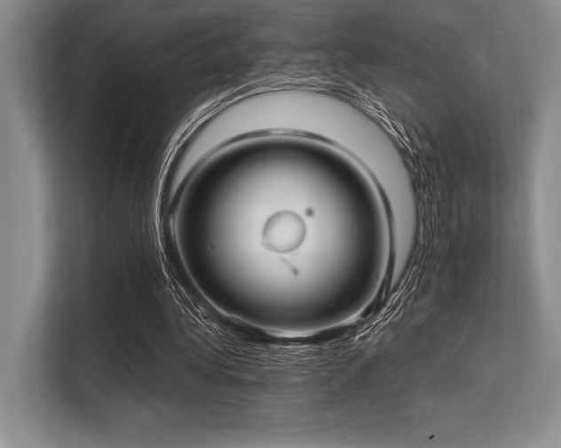 X0000113300340200909211126