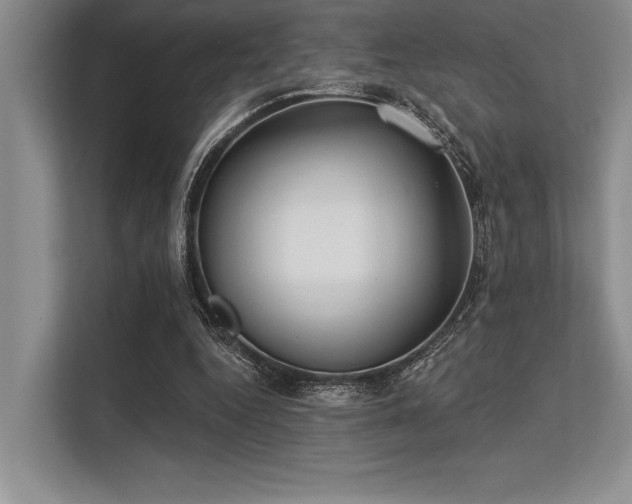 X0000113300344200909211126