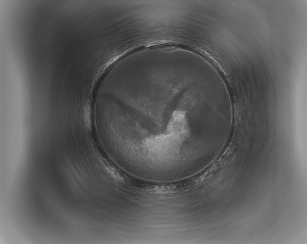 X0000113300345200909211126