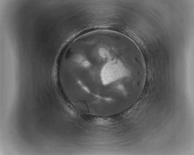 X0000113300346200909211126