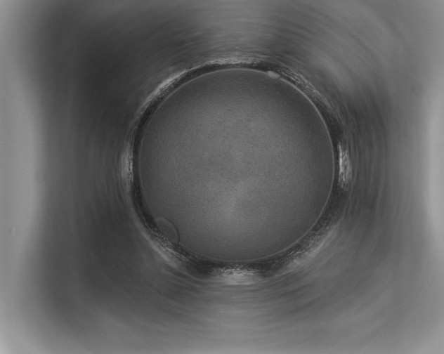 X0000113300348200909211126