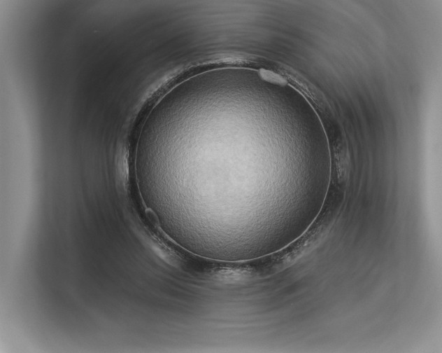 X0000113300350200909211126