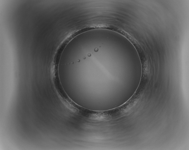 X0000113300351200909211126