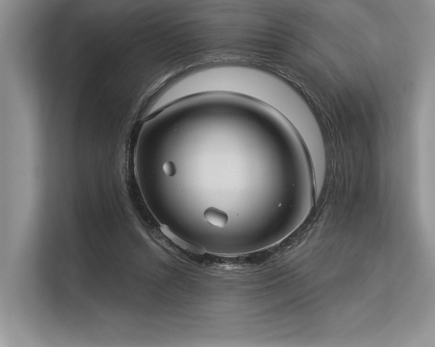 X0000113300352200909211126