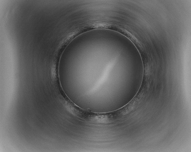 X0000113300353200909211126