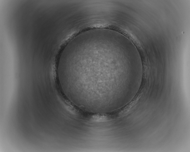 X0000113300354200909211126