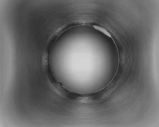 X0000113300356200909211126