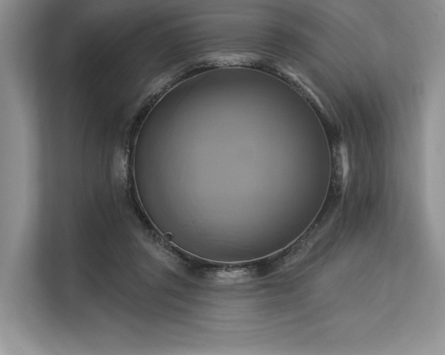 X0000113300357200909211126