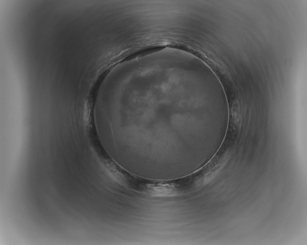 X0000113300359200909211126