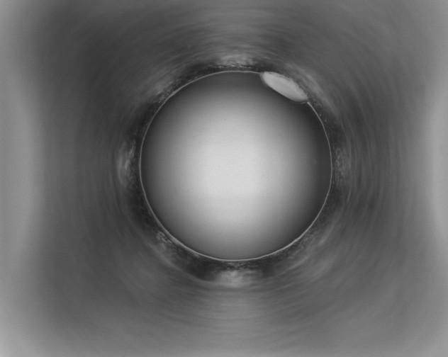 X0000113300364200909211126