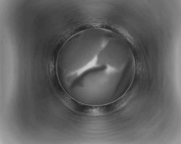 X0000113300365200909211126