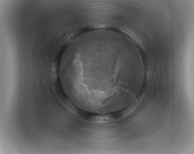 X0000113300366200909211126