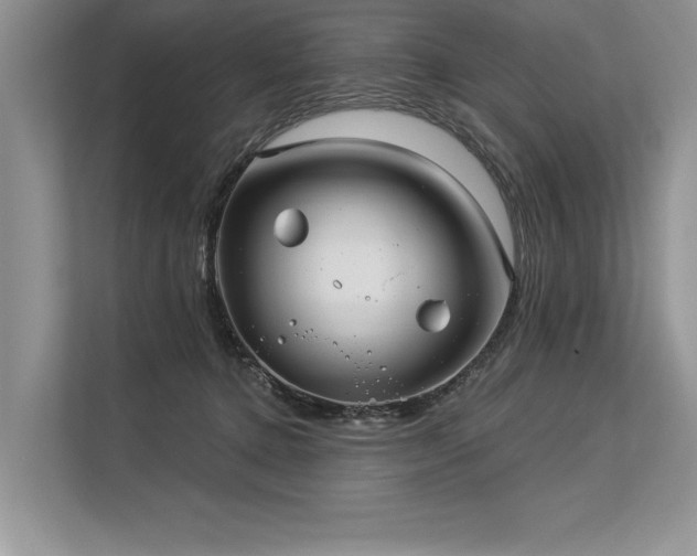 X0000113300368200909211126