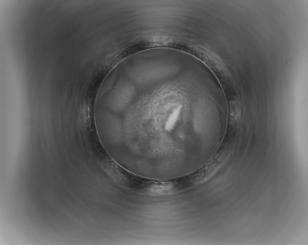 X0000113300369200909211126