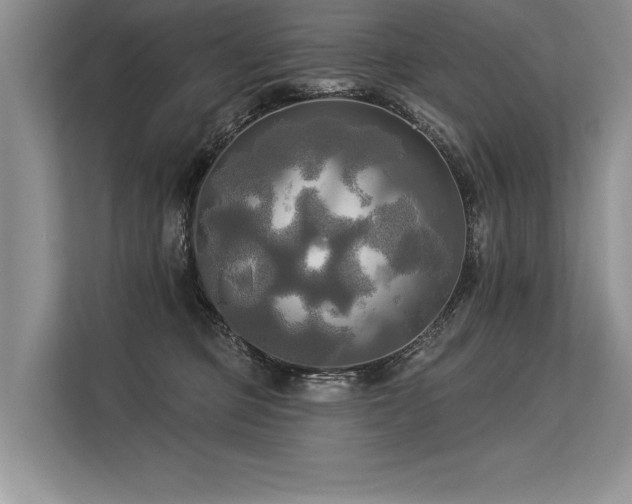 X0000113300373200909211126