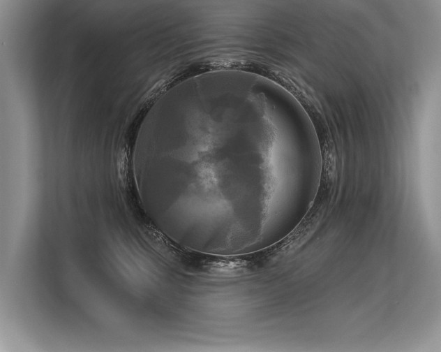 X0000113300375200909211126