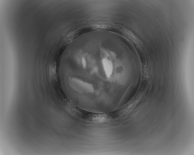 X0000113300377200909211126