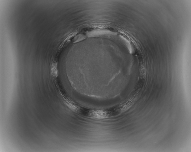 X0000113300383200909211126