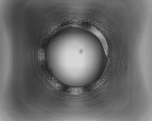 X0000113300384200909211126