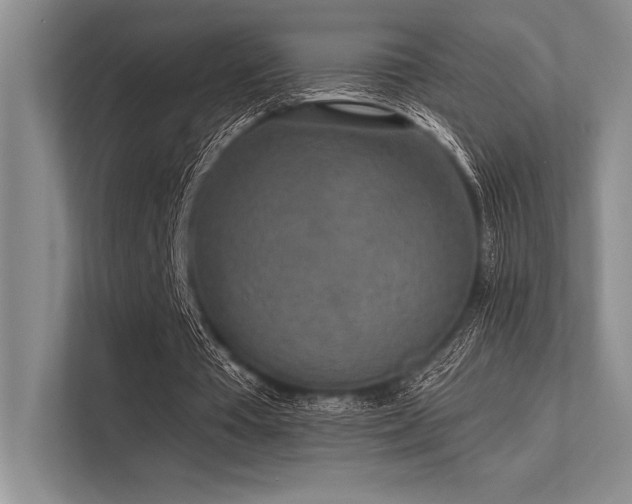 X0000113300385200909211126